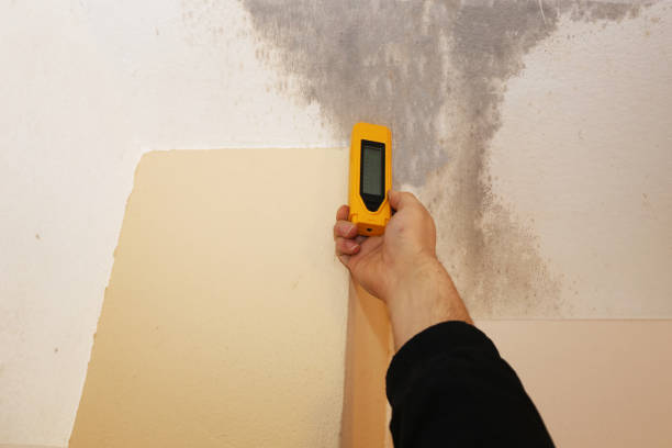 Best Indoor Air Quality Assessment  in Central City, KY