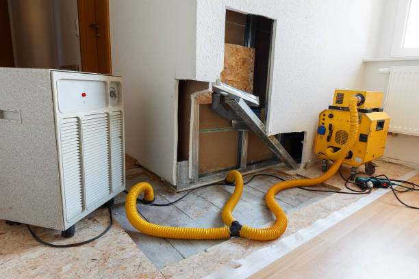 Best Environmental Consulting for Mold Prevention  in Central City, KY